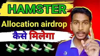 hamster allocation || hamster combat new update