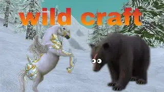 выполняем квест на лошадях и прокачиваемся  в wild craft