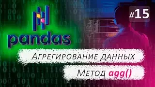 ► 15. DATA AGGREGATION. The agg() Method | Pandas Course.