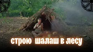 БУШКРАФТ ВЫЖЫВАЮ В ЛЕСУ I Строю домик в лесу