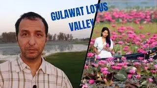 Where is the Lotus in Lotus Valley? | Gulawat