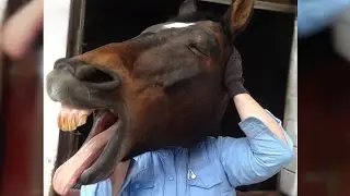 [REMOVED BY OWNER] 20 Perfectly Timed Photos!