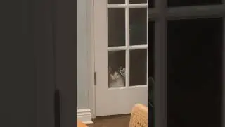Poor Zeus is locked up