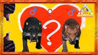 A High Level Female Sabertooth and a Slow Achatina: Can I Tame Them? | Part 2