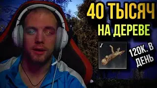 New World 120000 дерева каждый день / Безумный Дровосек / Сервер NYX