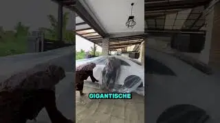 Er musste seinen geliebten Mercedes zurück lassen