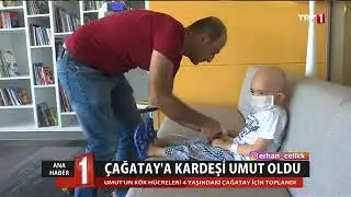 LÖSEV - LÖSANTE Çocuk ve Yetişkin Hastanesi