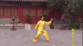 Sun Style Tai Chi 73 Form