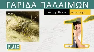PALAEMON species: from mythology to the world's catalogues!