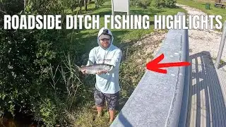 Roadside Ditch Snook & Tarpon Fishing In The Everglades