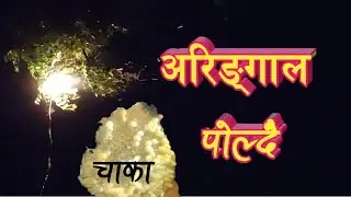 अरिङ्गाल पोल्दै // aringal ko chaka