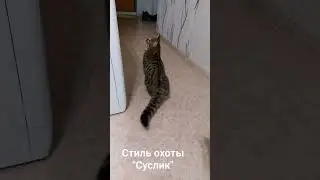 Пушок на охоте