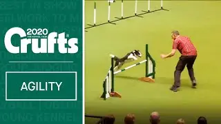 Large International Agility Final | ​Crufts 2020