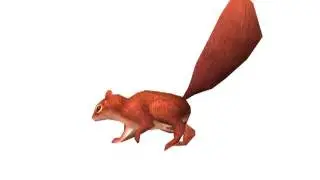 walk