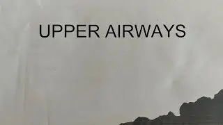 Cardiopulmonary Anatomy And Physiology Upper Airways