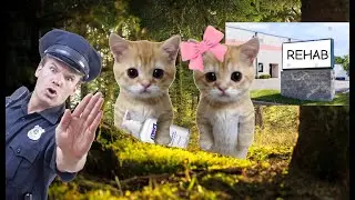 Drinking Hand Sanitizer and Hooking Up with a Rehab Girl in the Woods.. (Story Time)