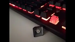 [EN] GX Scorpion K10 Keyboard REVIEW