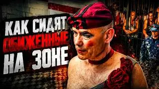Как сидят обиженные на зоне