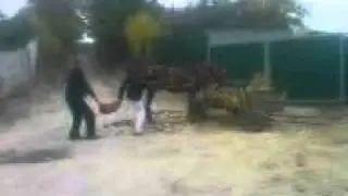 baietii din nisporeni