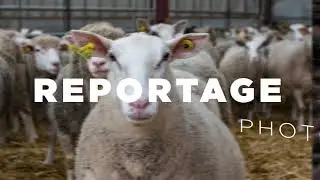 Reportage Photo - ViZualCréa