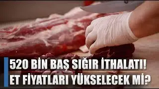 520 Thousand Heads of Cattle Import! Will Red Meat Prices Increase? / AGRO TV NEWS