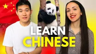 Beginner Chinese--30 Essential Chinese Words and Phrases to Learn | Useful and Common Expressions