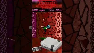Battletoads for Nintendo NES