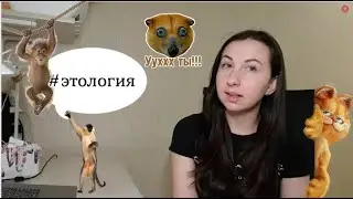 Биология. Поведение животных. Наука этология.
