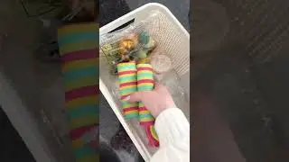NESTBAUTRIEB 😩🤰🏼 Ich würde am liebsten ALLES aufräumen 😁