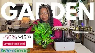 Why is EVERYONE Buying This $45 indoor garden??? - AeroGarden in depth