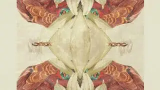 SavaBorsa - La Voz De Vibración Ft. Arnaldo Herrera