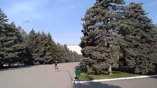 Пение птиц, Краснодар,  КубГАУ