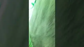 мы сидим в паладке