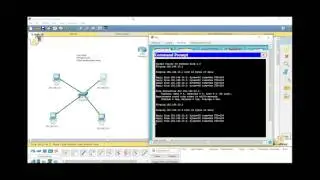CISCO qurğularında rejim və VLAN haqqında
