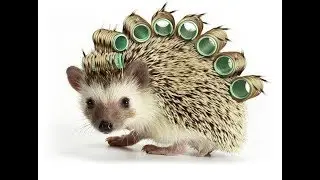 ПОЛЕЗНО ЗНАТЬ!!! Что делать, если изделие колется ?! Вязание. Рынашко