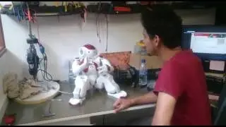 Mexendo com o robô NAO