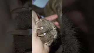 Cute cat!👍🤗