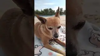 ПОЧЕМУ?