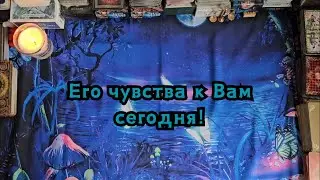 Его чувства к Вам сегодня!🔮🦋✨️❤️‍🔥☘️🪬