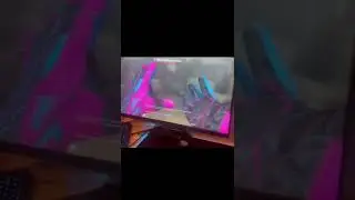 Спортивные перчатки | Порок (FN) 😱🔞🔥 