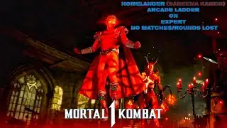 Mortal Kombat 1 - Homelander (Sareena Kameo) Klassic Tower On Very Hard No Matches/Rounds Lost