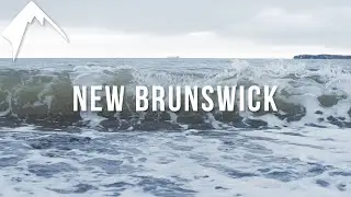Top 5 Things to do in New Brunswick!