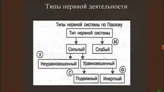 Типы нервной деятельности