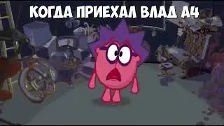 Ёжик кричит мем