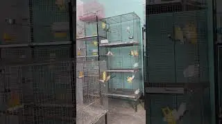 Boxes installation start for breeding season 2024 - 25