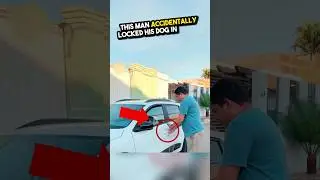 He accidentally locked the dog inside but then