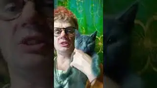 мама нашла на помойке кошечку лолу 