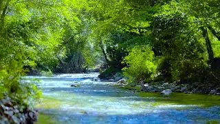 Meditation Stress Relief Music - 