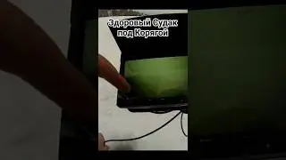 Хе из Судака через Камеру! Здоровый Судак под корягой. Бердь 08.01.24 