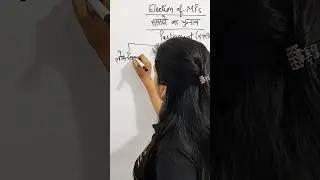 Loksabha or Rajyasabha MPs  Election kaise hota hai #youtubeshorts #shortvideo #shortsviral